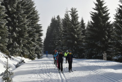 28-oddil-skautek-ctveraci-mustang-2-bezky-11