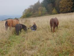 28-oddil-skautek-ctveraci-mustang-drakiada-s-27-oddilem-16