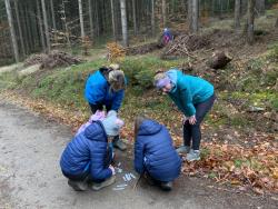 28-oddil-skautek-ctveraci-mustang-sametova-vyprava-26