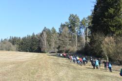 28-oddil-skautek-ctveraci-mustang-jarnasy-03